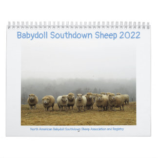Calendario NABSSAR de Babydoll Southdown 2022