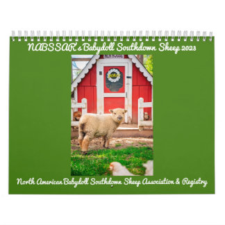 Calendario NABSSAR de Babydoll Southdown 2023