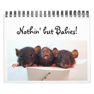 Calendario ¡Nada pero bebés!