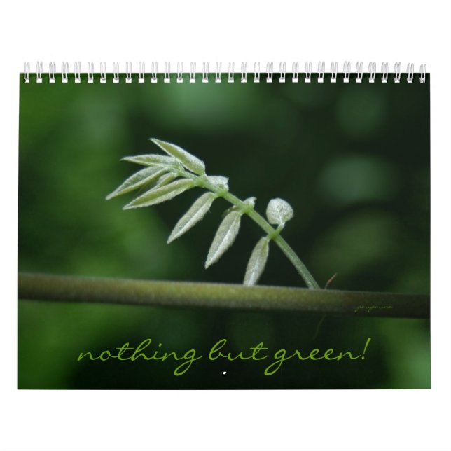 Calendario ¡nada pero verde! (Tapa)