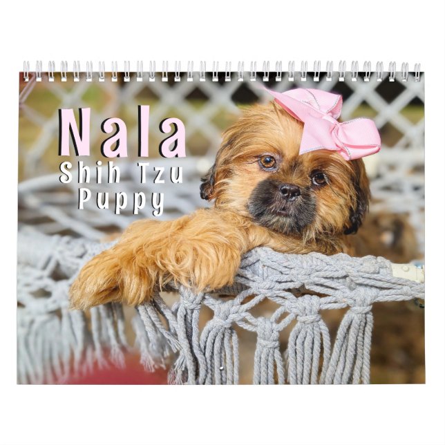 Calendario Nala Shih Tzu Cachorro más lindo (Tapa)