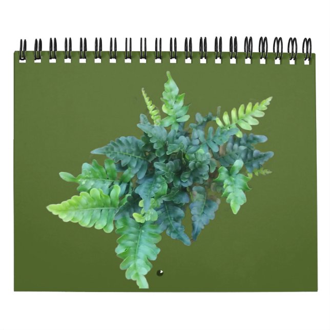 Calendario Native Plants - Pacific northwest (Tapa)