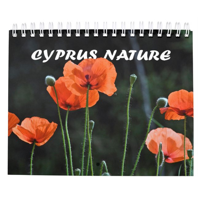 Calendario natural de Chipre (Reverso)