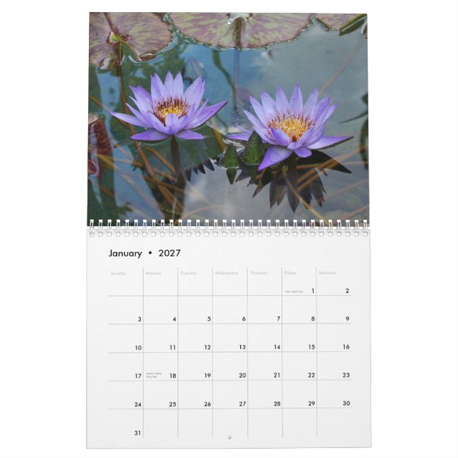 Calendario Naturaleza 2013 (Jan 2027)