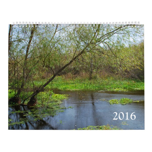 Calendario Naturaleza 2016 (Tapa)