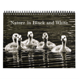 Calendario Naturaleza en blanco y negro