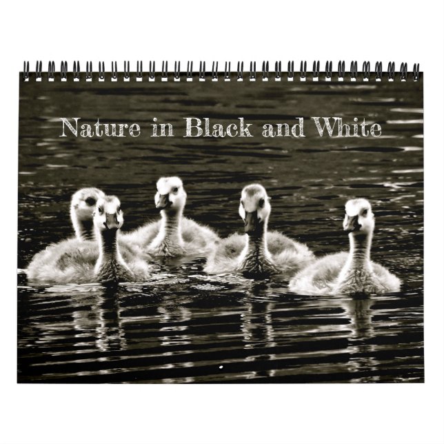 Calendario Naturaleza en blanco y negro (Tapa)