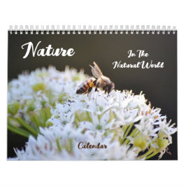 Calendario Naturaleza Natural World Calendar