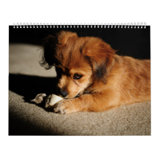 Calendario Naturaleza y animales