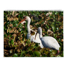 Nature in Florida