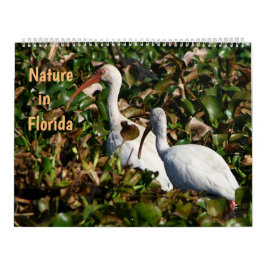 Calendario Nature in Florida