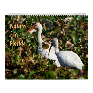 Calendario Nature in Florida