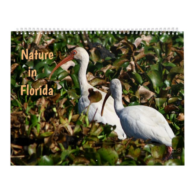 Calendario Nature in Florida (Tapa)