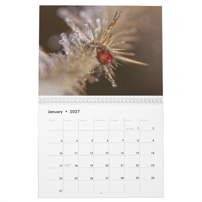 Calendario Nature inspired 2026 calendar (Jan 2027)