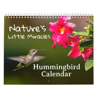 Calendario Nature's Little Miracles Hummingbirds