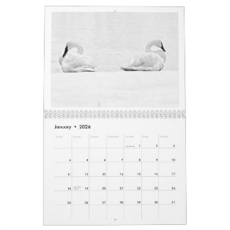 Calendario Nature's Perspectives - 2026 Wall Calendar