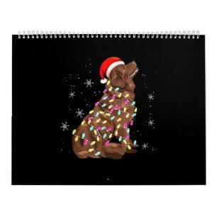 Calendario Navidades de Terranova regalo ligero amante de lo