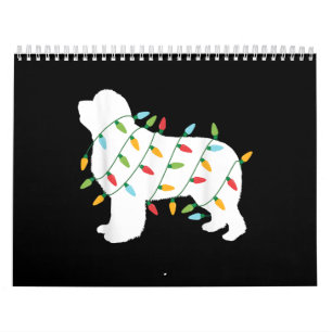 Calendario Navidades encienden regalos de recién fundados