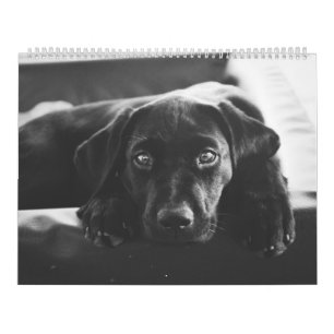 Calendario negro de Labrador 2018