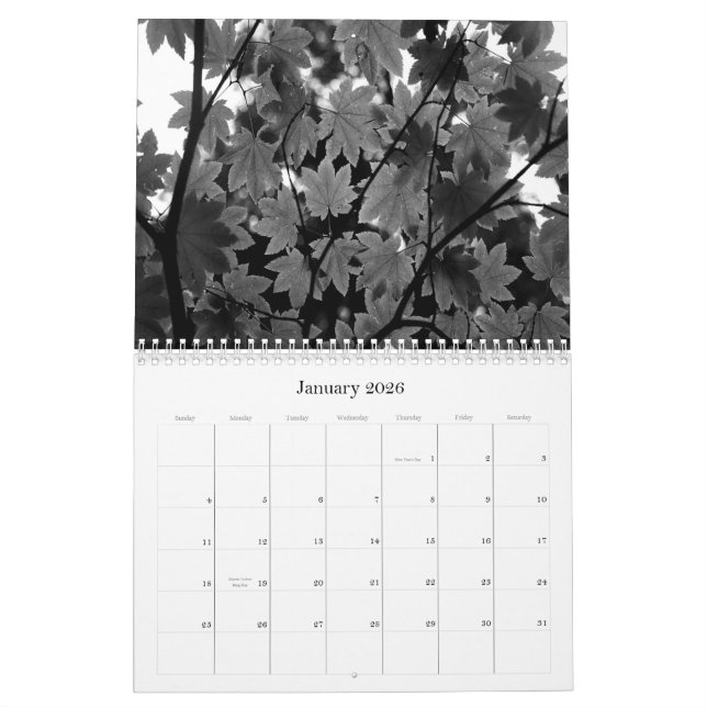 Calendario negro y blanco de la fotografía 2011 (Jan 2026)