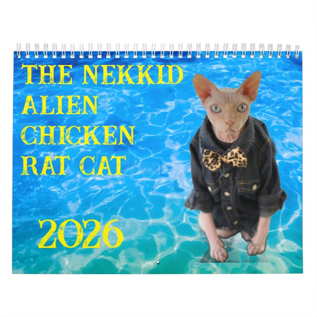 Calendario New 2026 Calendar (Tapa)