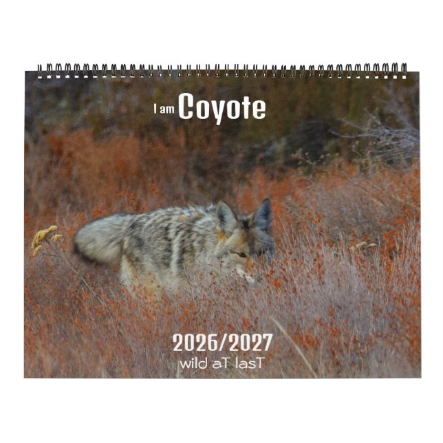 Calendario New! 'I am Coyote' 2026/2027 calendar (Tapa)