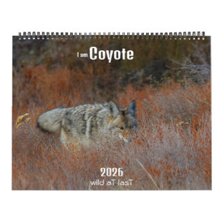 Calendario New! 'I am Coyote' 2026 calendar