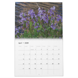 Calendario No dejes que nadie más Escoja la forma en que vive