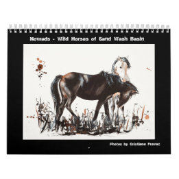 Calendario Nómadas - Caballos salvajes de la cuenca del lavad