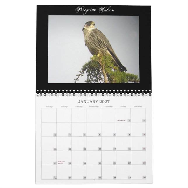 Calendario norteamericano de los pájaros (Jan 2027)