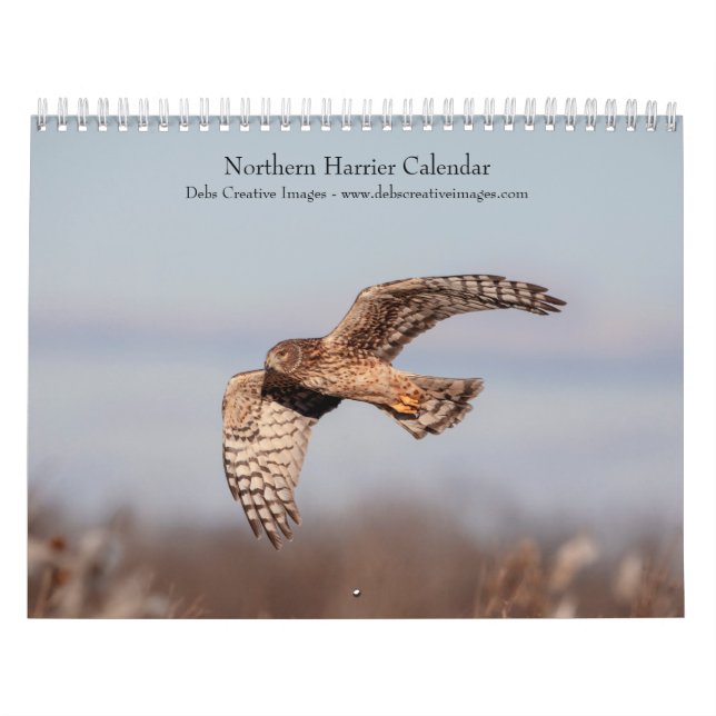 Calendario Northern Harrier 2026 (Tapa)