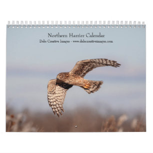 Calendario Northern Harrier 2026