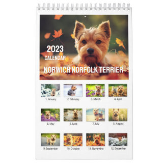 Calendario Norwich Norfolk Terrier 2023
