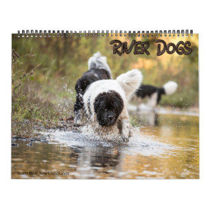 Calendario Notta Bear Newfoundlands River Dogs