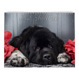Calendario Notta Bear Newfoundlands ShellBea