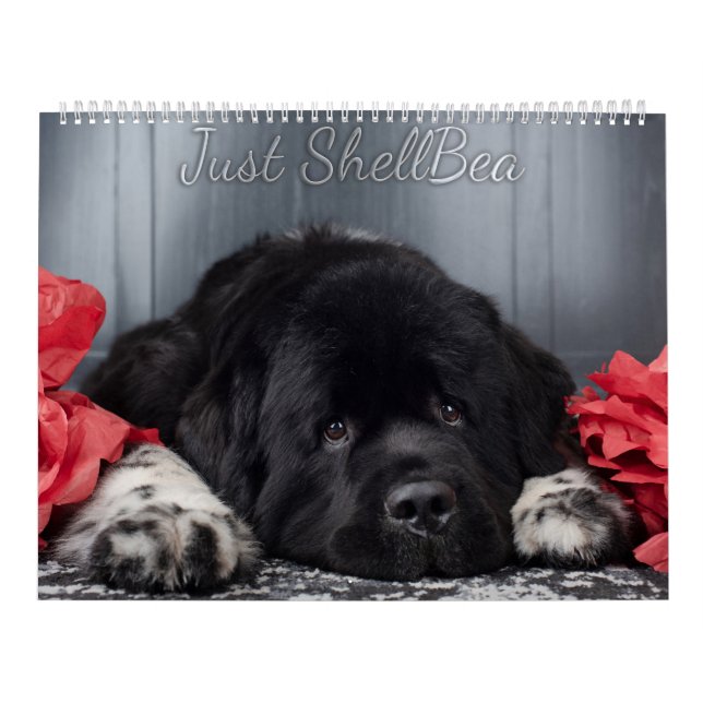 Calendario Notta Bear Newfoundlands ShellBea (Tapa)
