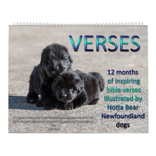 Calendario Notta Bear Newfounlands Verses (Tapa)