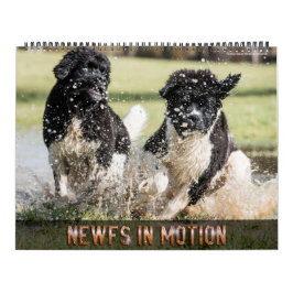 Calendario Notta Bear Newfs In Motion