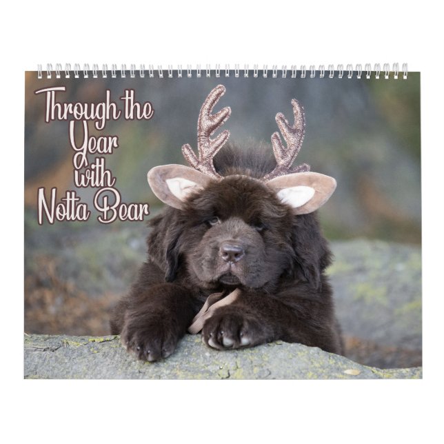 Calendario Notta Bear Through The Year (Tapa)