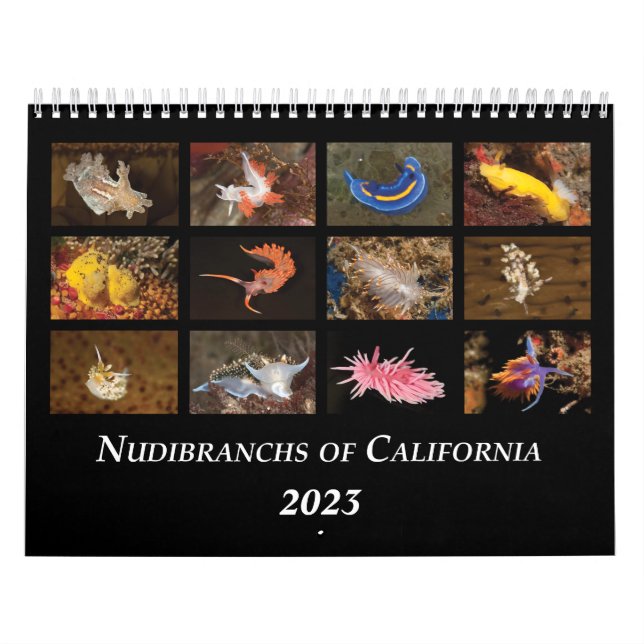 Calendario Nudibranchs de California Calendar (Tapa)