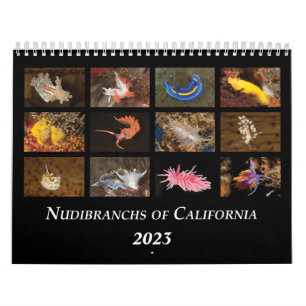 Calendario Nudibranchs de California Calendar