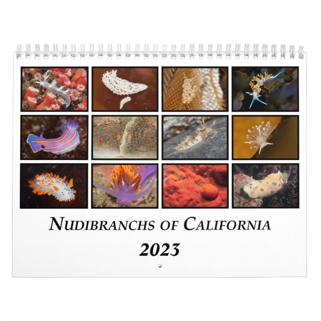 Calendario Nudibranchs de California Calendar (Tapa)