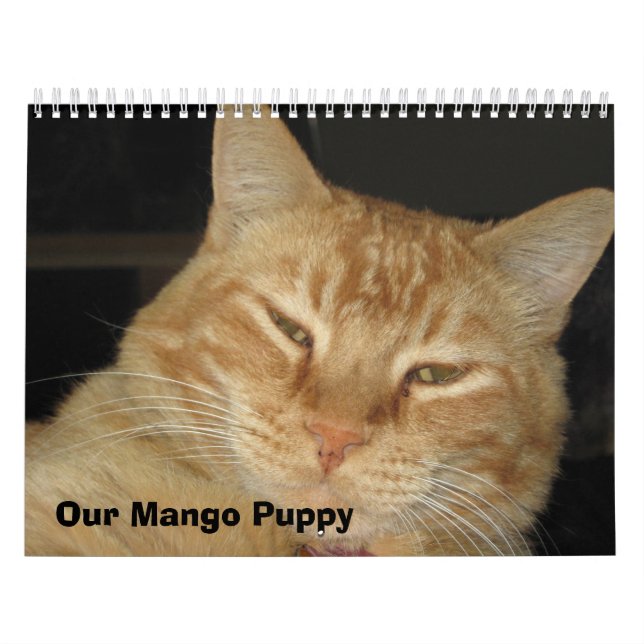 Calendario Nuestro perrito del mango (Tapa)