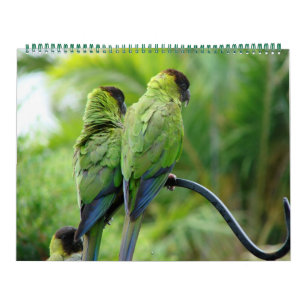 Calendario Nuestro yacimiento