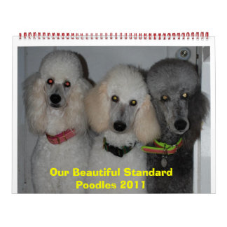 Calendario Nuestros bonitos poodles estándar 2011