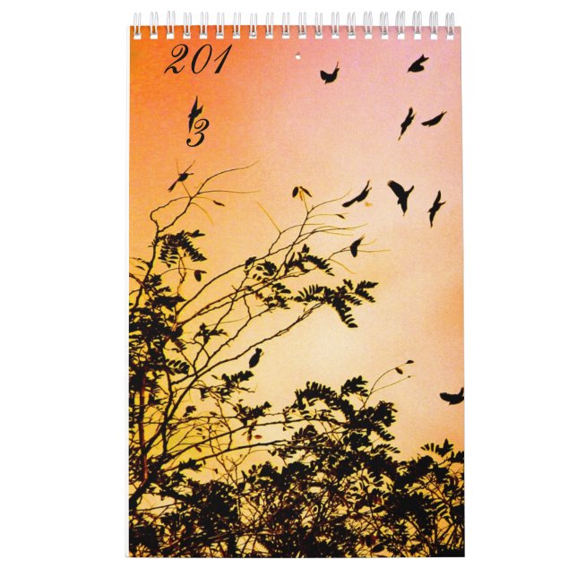 Calendario nuevas esperanzas (Tapa)