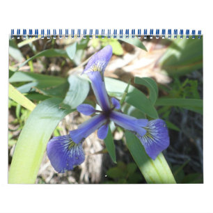 Calendario NY a través de Fotos