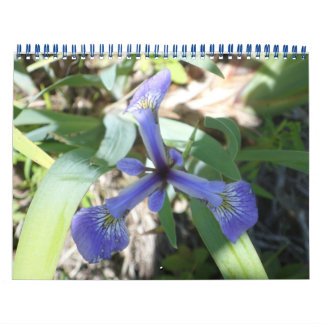 Calendario NY a través de Fotos