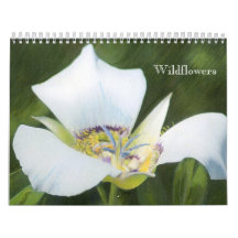 Calendario occidental de los dibujos del