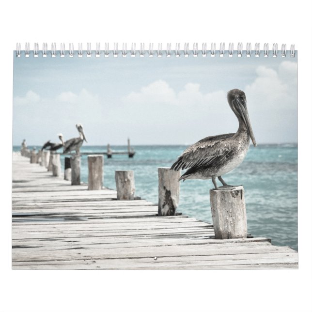 Calendario Océano costero pelícano (Tapa)
